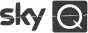 Partner 7